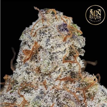 Blueberry Mac